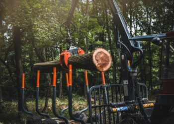 Nest pension scheme aims to increase biodiversity and hedge inflation with timberland investment