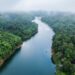 Asset owners urged to prioritise decarbonisation over short-term returns