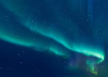 RBC BlueBay hires associate director for Benelux and the Nordics