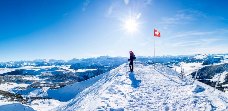 ETFs reach new peak in Switzerland, France, Germany where they overtake traditional index-trackers