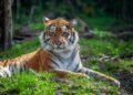 First Sentier Investors to publish nature targets