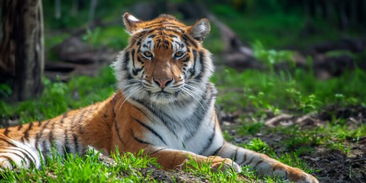 First Sentier Investors to publish nature targets