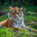 First Sentier Investors to publish nature targets
