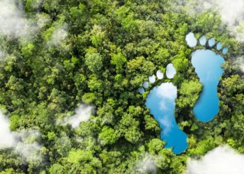 Now:pensions boosts GHG neutral strategy with in-house manager Cardano