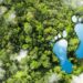 Now:pensions boosts GHG neutral strategy with in-house manager Cardano