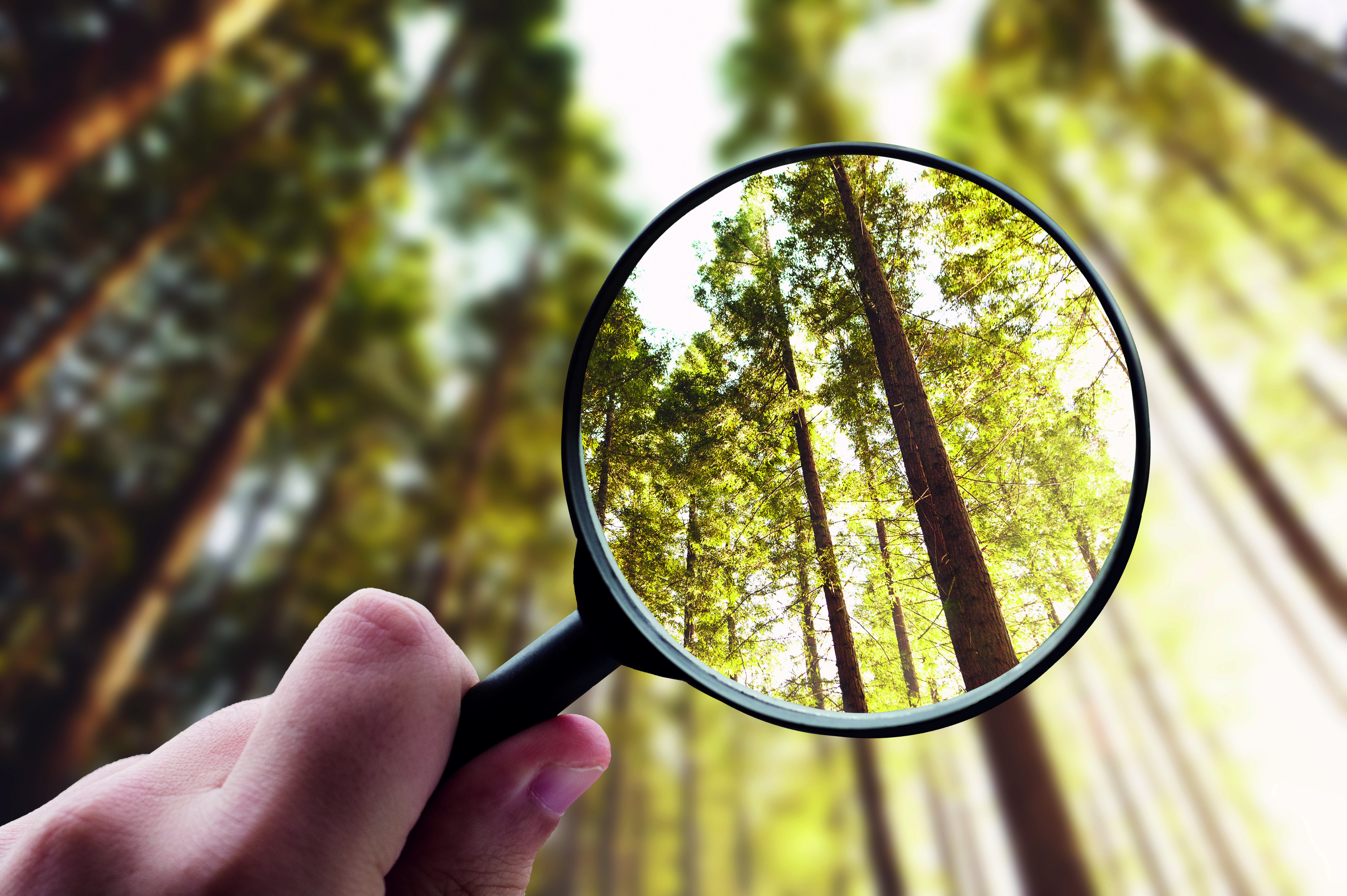 Jonathan Flitt: Our bet is on transparency