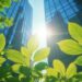 Half of asset managers fail to disclose SBTi allocations: Funds Europe