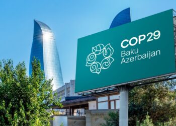 COP29: UK launches carbon market integrity priciples