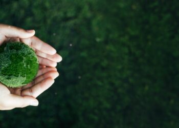 BlackRock launches UK fund targeting low carbon transition