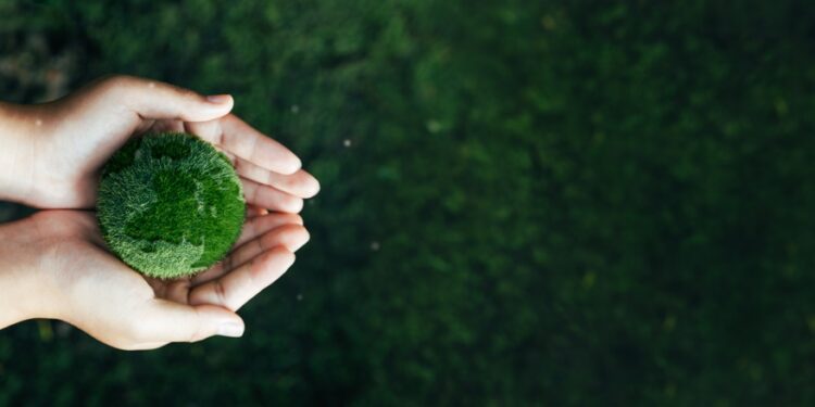 BlackRock launches UK fund targeting low carbon transition