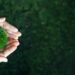 BlackRock launches UK fund targeting low carbon transition