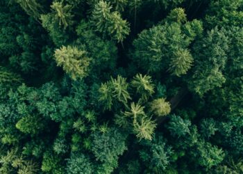 Research report explores the rising popularity of evergreen funds