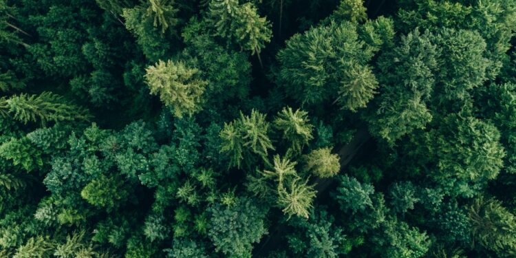 Research report explores the rising popularity of evergreen funds