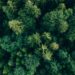 Research report explores the rising popularity of evergreen funds