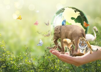 Asset owners add nature, biodiversity to investments, study shows