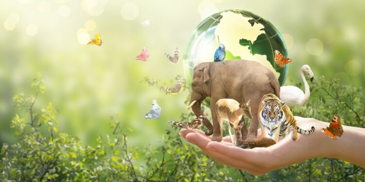 Asset owners add nature, biodiversity to investments, study shows
