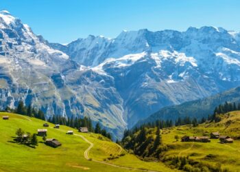 Swiss ETF market surges in Q4