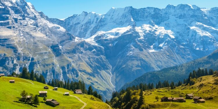 Swiss ETF market surges in Q4