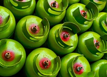 Mirova invests in emerging markets’ clean cooking solution