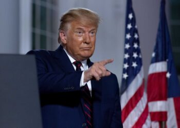 Trump’s crypto impact welcomed by professional investors