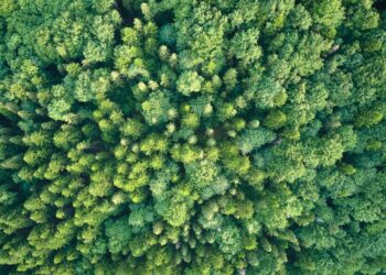 Evergreen and Eltif fund markets soar to more than €83bn