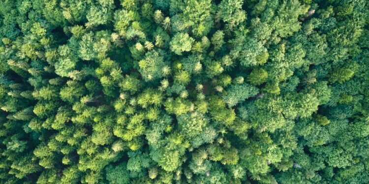 Evergreen and Eltif fund markets soar to more than €83bn