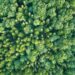 Evergreen and Eltif fund markets soar to more than €83bn
