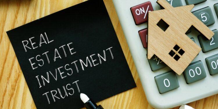 UK Reit mergers may boost returns: Time Investments