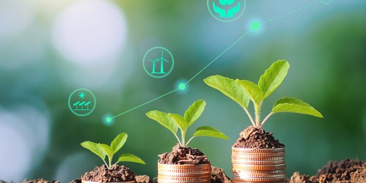 GSS bond issuance falls 13% in H1 2025: MainStreet Partners