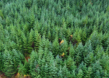 Infranity launches open-ended evergreen infrastructure ELTIF