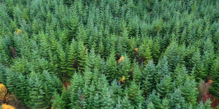 Infranity launches open-ended evergreen infrastructure ELTIF
