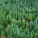 Infranity launches open-ended evergreen infrastructure ELTIF