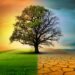 Resolution launches global equity strategy