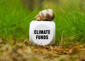 Transition funds drive record climate assets