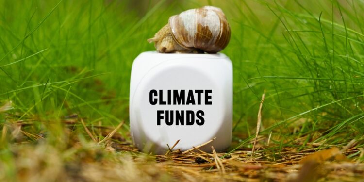 Transition funds drive record climate assets