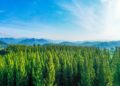 Has ESG become too political for European asset managers?
