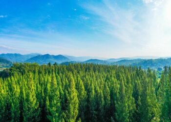 Has ESG become too political for European asset managers?