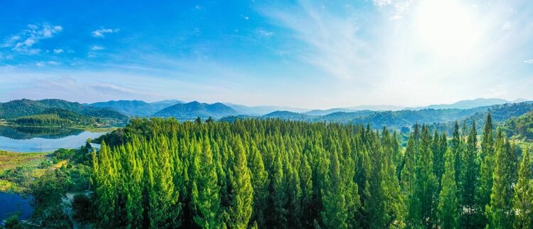 Has ESG become too political for European asset managers?