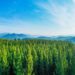 Has ESG become too political for European asset managers?