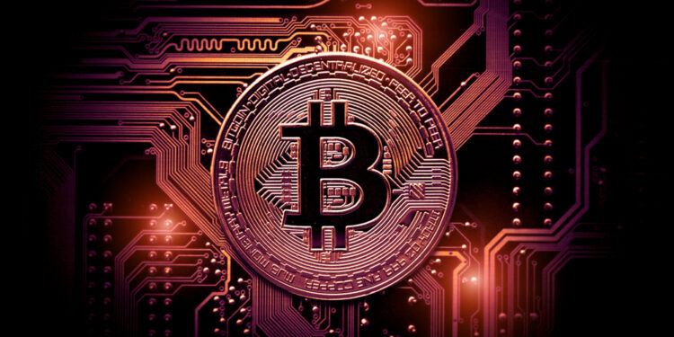 Investors plan to increase digital assets, survey finds