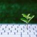 Schroders Greencoat launches green digital infrastructure platform