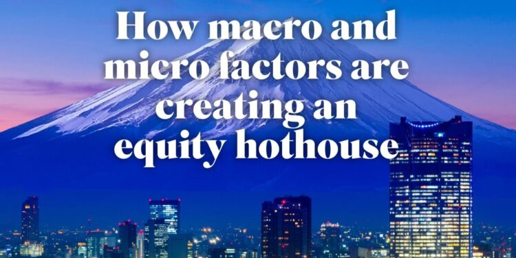 Japan’s equity renaissance