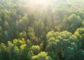 Bridging the divide: the rise of hybrid funds