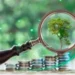 Japan and the UK push transition finance cooperation