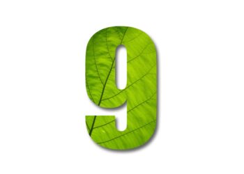 KBI launches Art 9 and health & wellbeing strategies